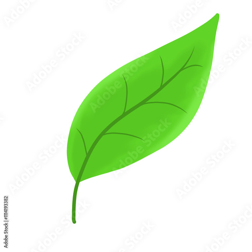 Illustration green leaf