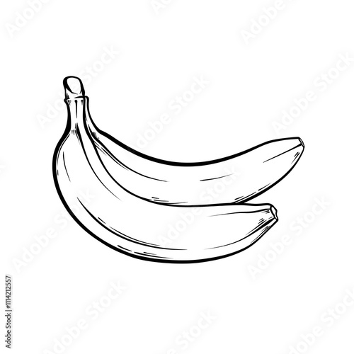 line art drawing illustration of banana