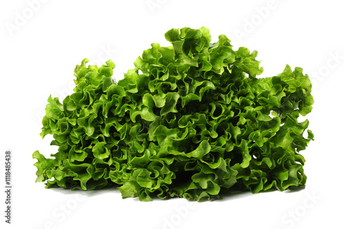 Fruits, vegetables, food, Lettuce, Iceberg, Lola Rosa, Lola Bionda 