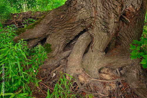 Nadwiślański park