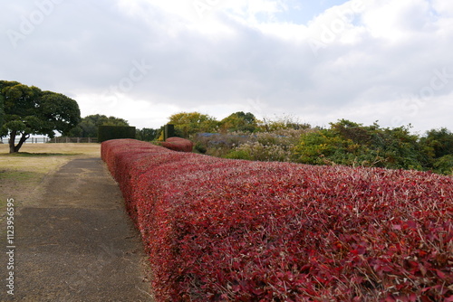 秋の訪れを告げる風景