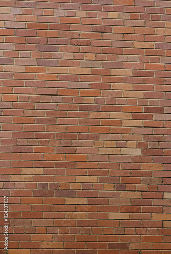 Brick Wall at Abandoned Military Armory Located in Tyler Texas