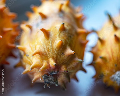 photo of Cucumis metuliferus, commonly known as African horned cucumber or kivano