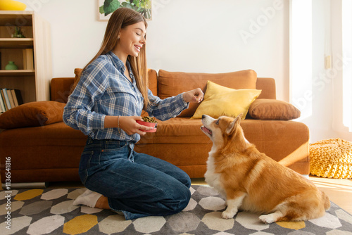 Young woman with Welsh Corgi dog training activities to obey commands in living room, holding bowl and feed, side view