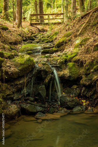 A small creek flows under a wooden bridge and then falls into a pool of water.