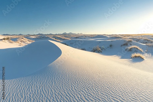 Vast white sand dunes stretch under a clear blue sky, showcasing the beauty of a desert landscape.