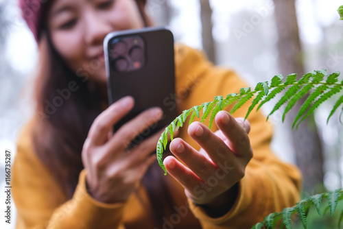 A woman taking photos of green plant with smartphone in the forest